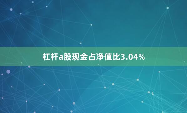杠杆a股现金占净值比3.04%